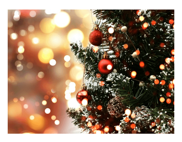 Christmas Tree & Lights Greeting Card