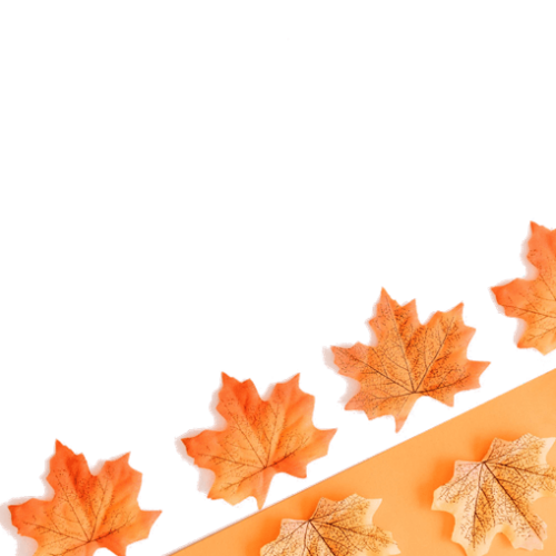 Leaf Frame Stationery
