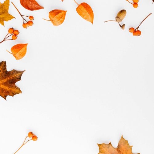 Leaf Corner Stationery