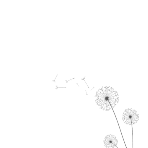 Dandelions Stationery