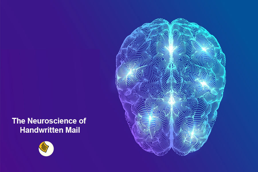 The Neuroscience of Handwritten Letters and Notes